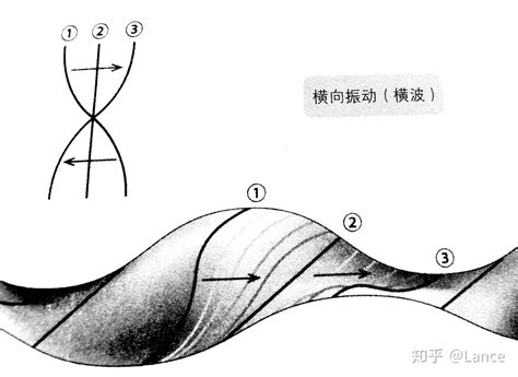 玄理論|弦理论